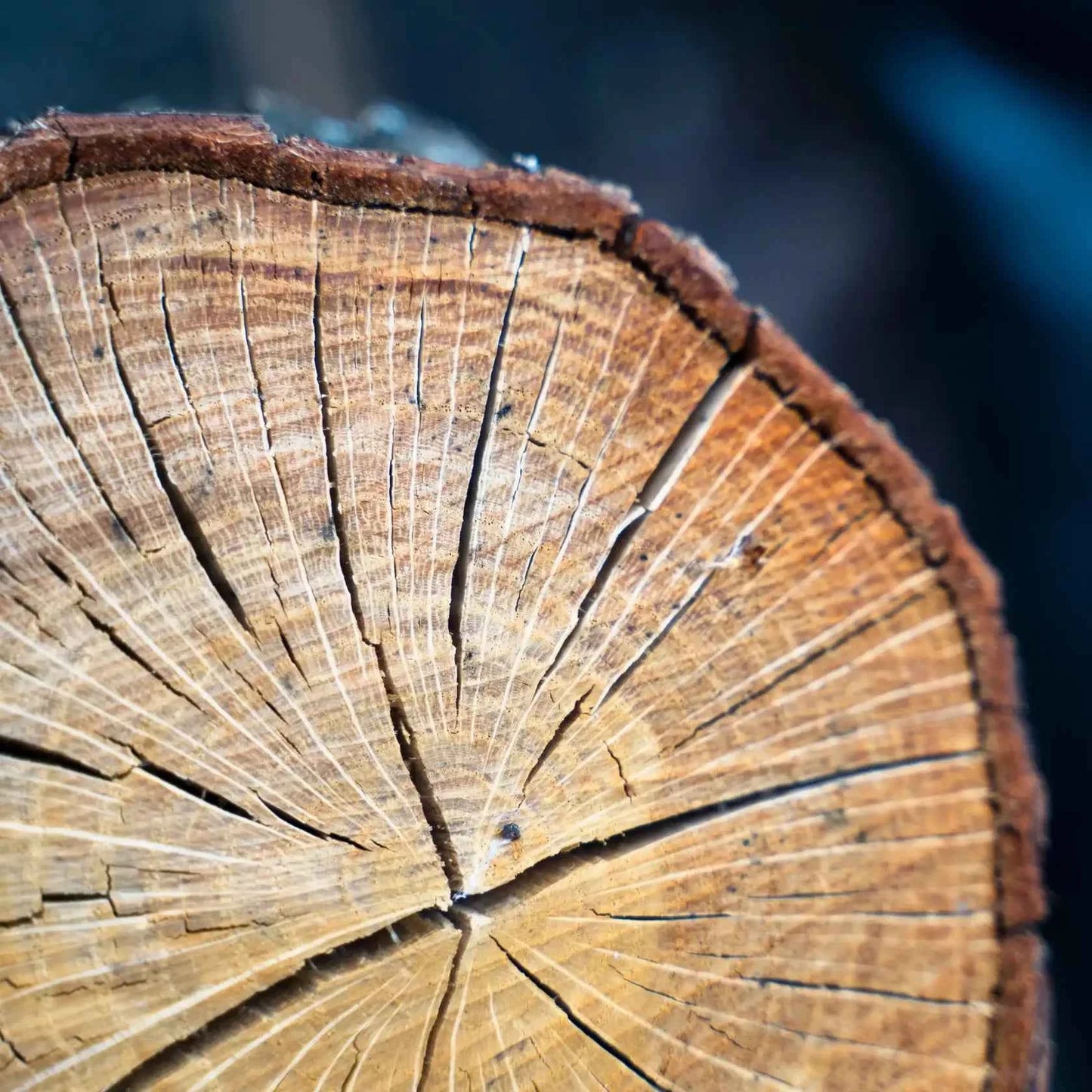 Legno d'ebano - Fragranza per candele