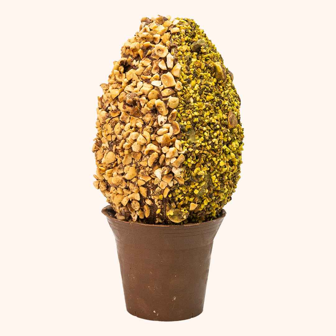 NoccioPistacchio 500 GRAMMI