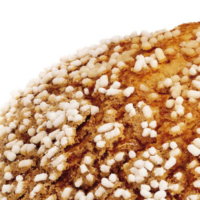 KINDERINI Panettone. By Chef Giovanni Pantaleo