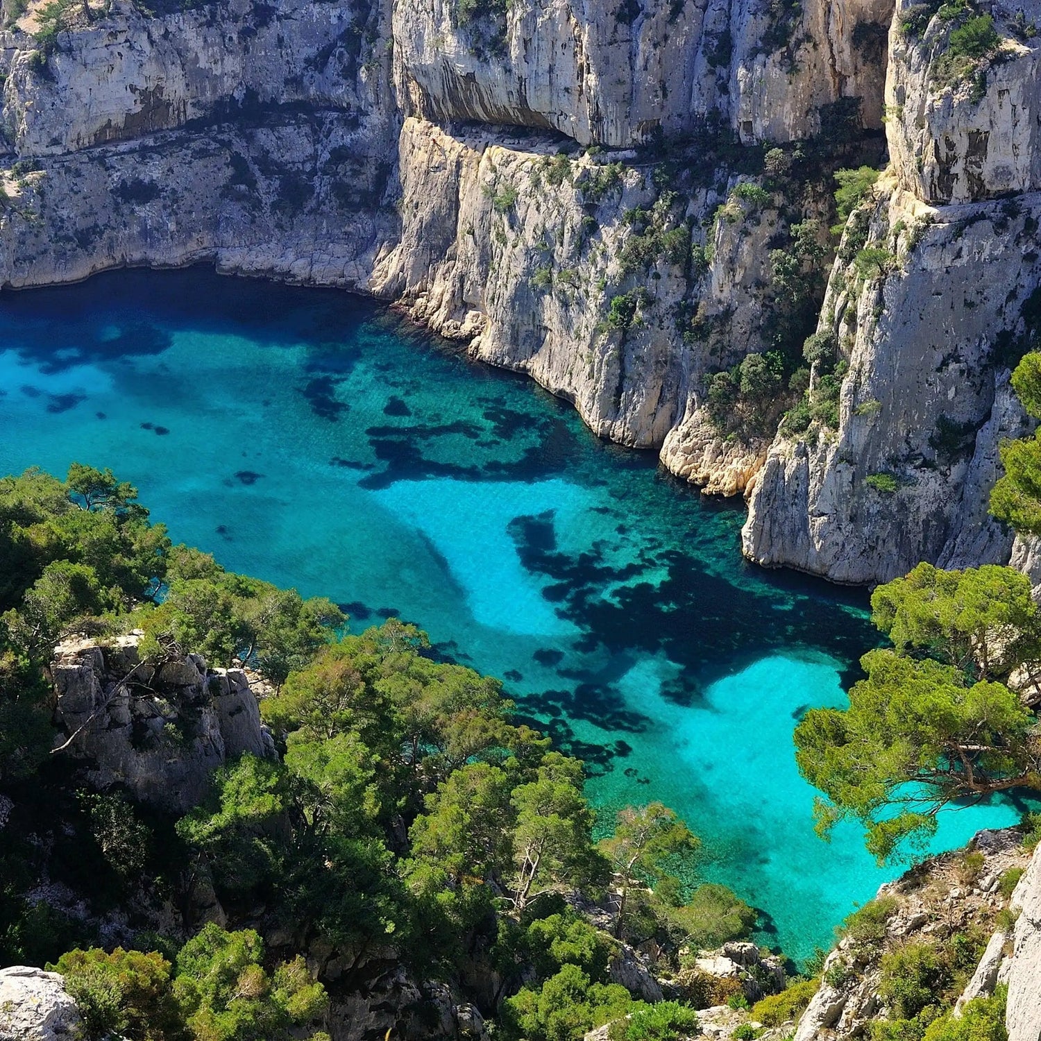 FRAGRANZE NATURALI PER CANDELE FAI DA TE - PROFUMI DI NATURA FRESCHI E AUTENTICI