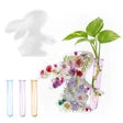 Soy Wax Molds by Pillar KeraSoy Kerax for Candles 4120. world products shop.