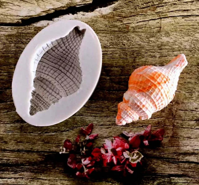 Conchiglia. Paguro di Mare. Stampo silicone