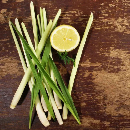Lemongrass. Fragranza Per Candele