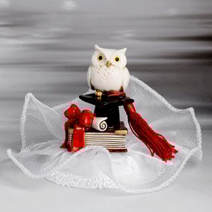 Gufo Cappello e Pergamena di Laurea. Soggetto in resina