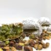 Cesto di Natale Sicilia – Cesta natalizia prodotti tipici siciliani – 1 Panettone Pistacchio+Crema+Paste