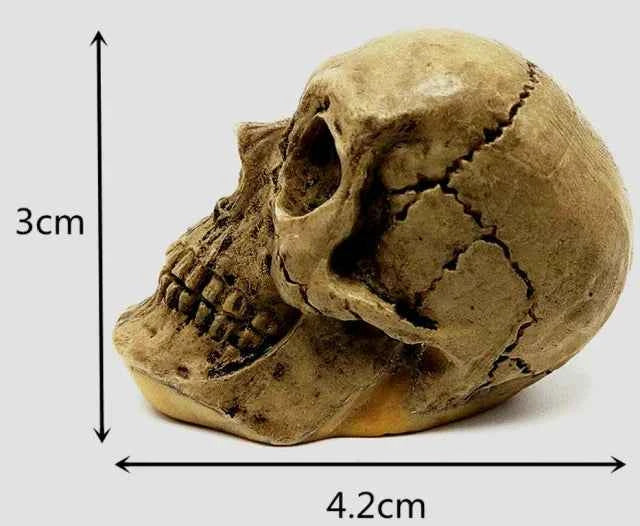 Teschio. Stampo in silicone