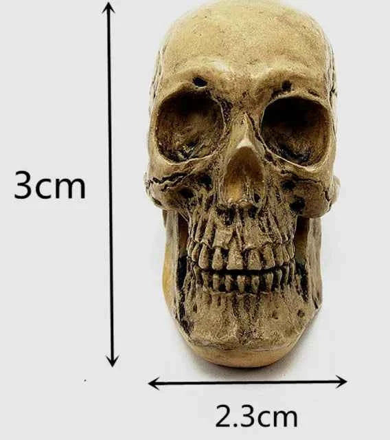 Teschio. Stampo in silicone