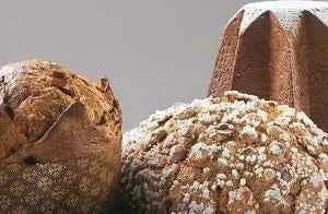 Dolce Forno Classico. A base di lievito Madre per Lievitati Panettone Pandoro e Colomba. Irca