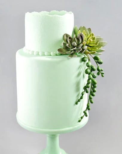 Fantastico stampo per creare Piante Fiori e Foglie spettacolari!! Flower Pro Ultimate Succulents