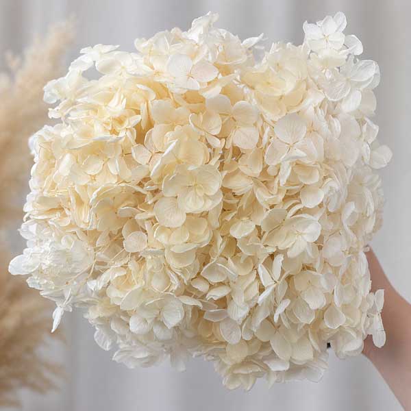 Palm Wax for Candles in Molds and Containers. 1kg