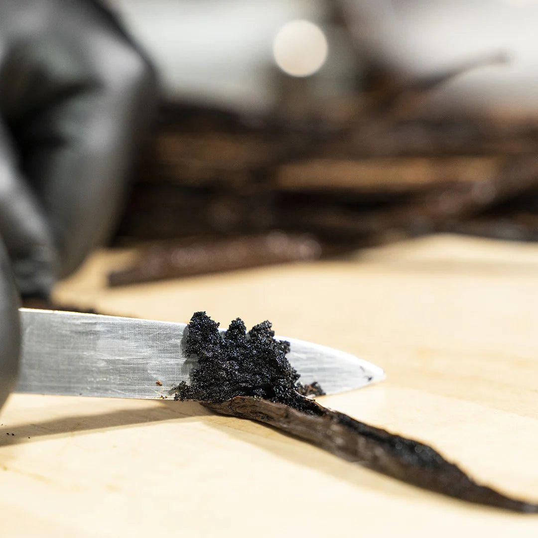 Zeppola di San Giuseppe lievitata, ricca di amarene e crema alla vaniglia.