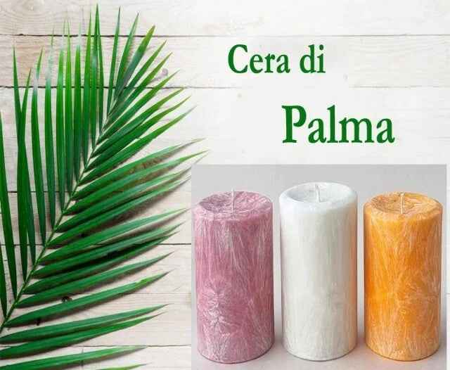 Cera di Palma per Candele in Stampi e Contenitori. 1Kg