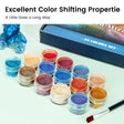 Set di polveri di mica camaleontiche in 24 colori - 3 g/flacone