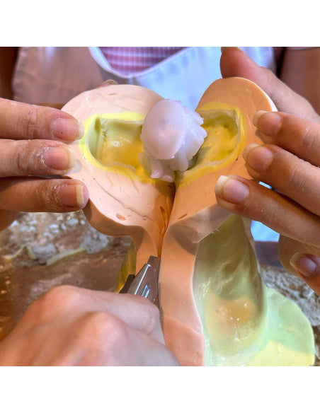 R SCULPT - Gomma siliconica in Pasta per Scultori, per Applicazioni Verticali di Grandi e Piccole Dimensioni